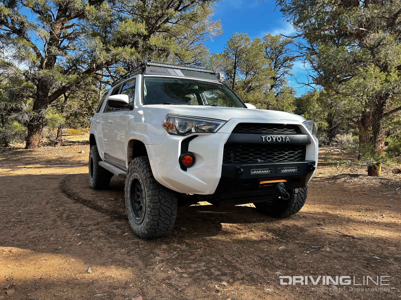 Toyota 4Runner Overland Rig in Forest