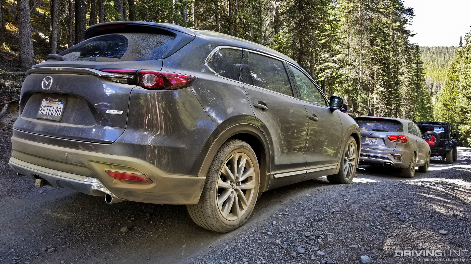 CX-9 and Sorento on wooded trails