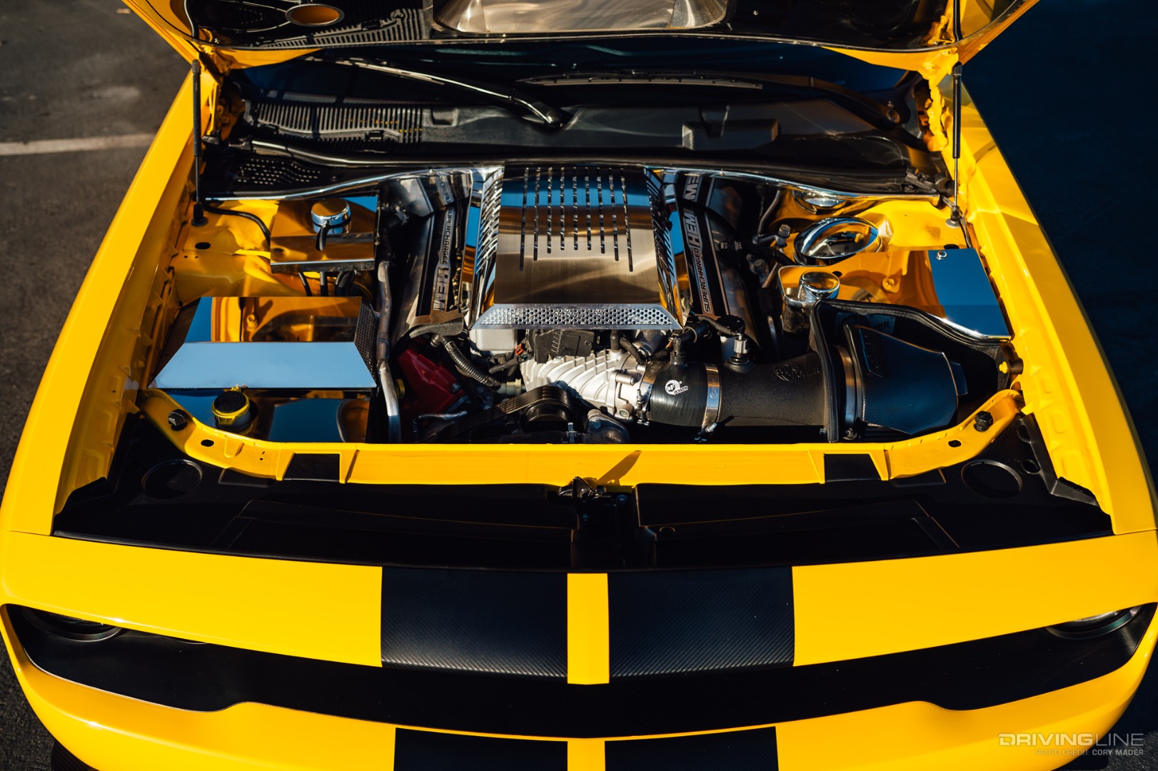 SRTBees Dodge Challenger Hellcat 6.2 L Hemi V8 Engine Bay