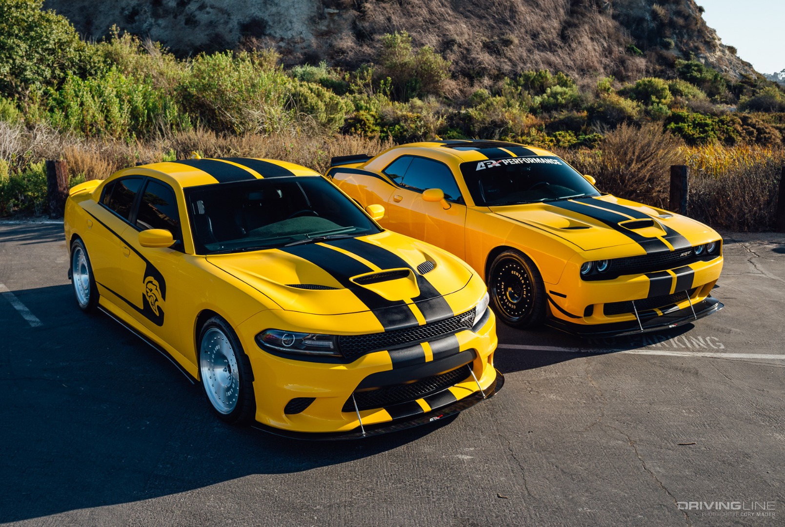 SRTBees Dodge Hellcat Pair