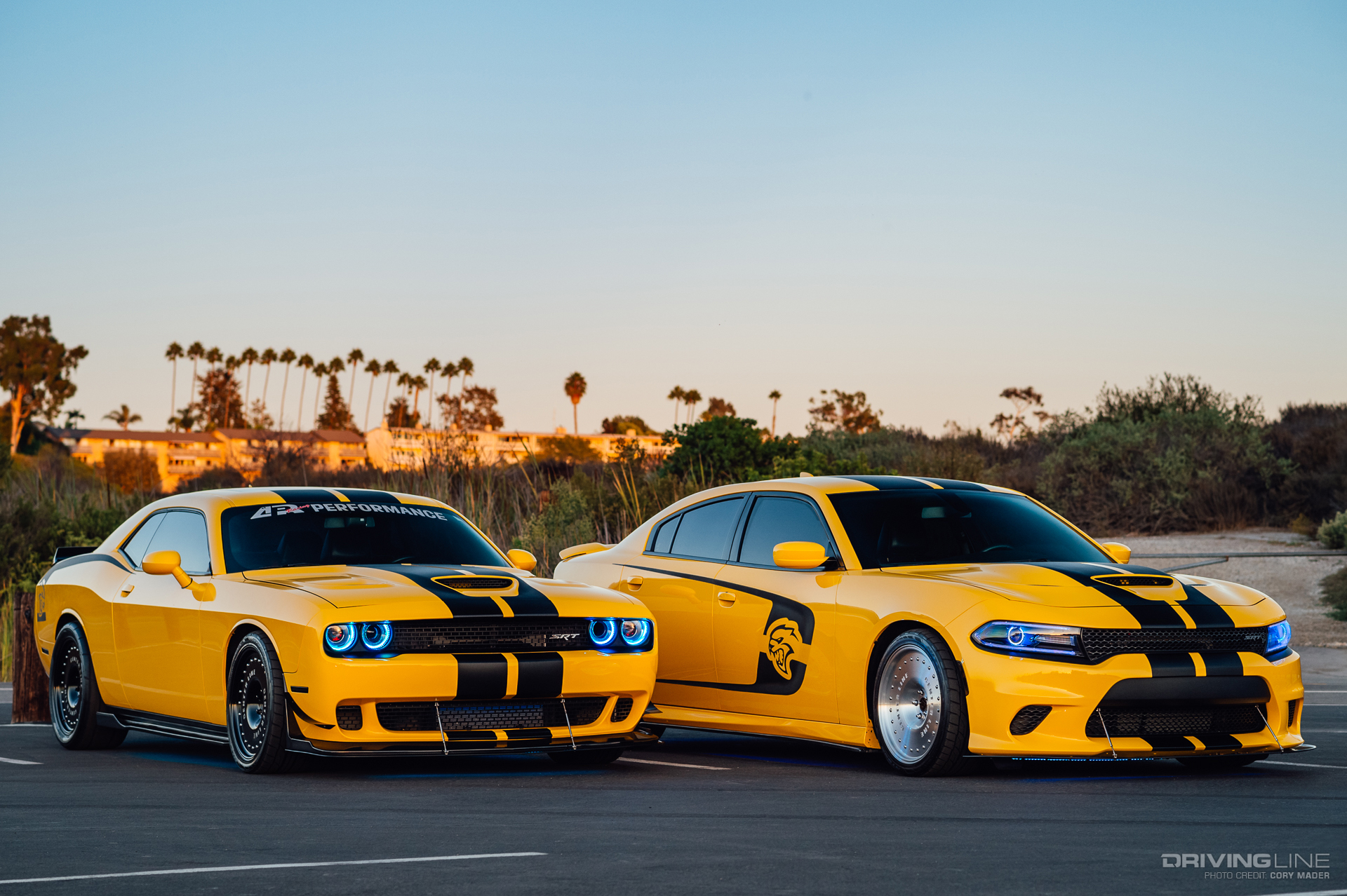 SRTBees Dodge Charger and Challenger Hellcats Front 3/4 Oracle Lighting in Sunset