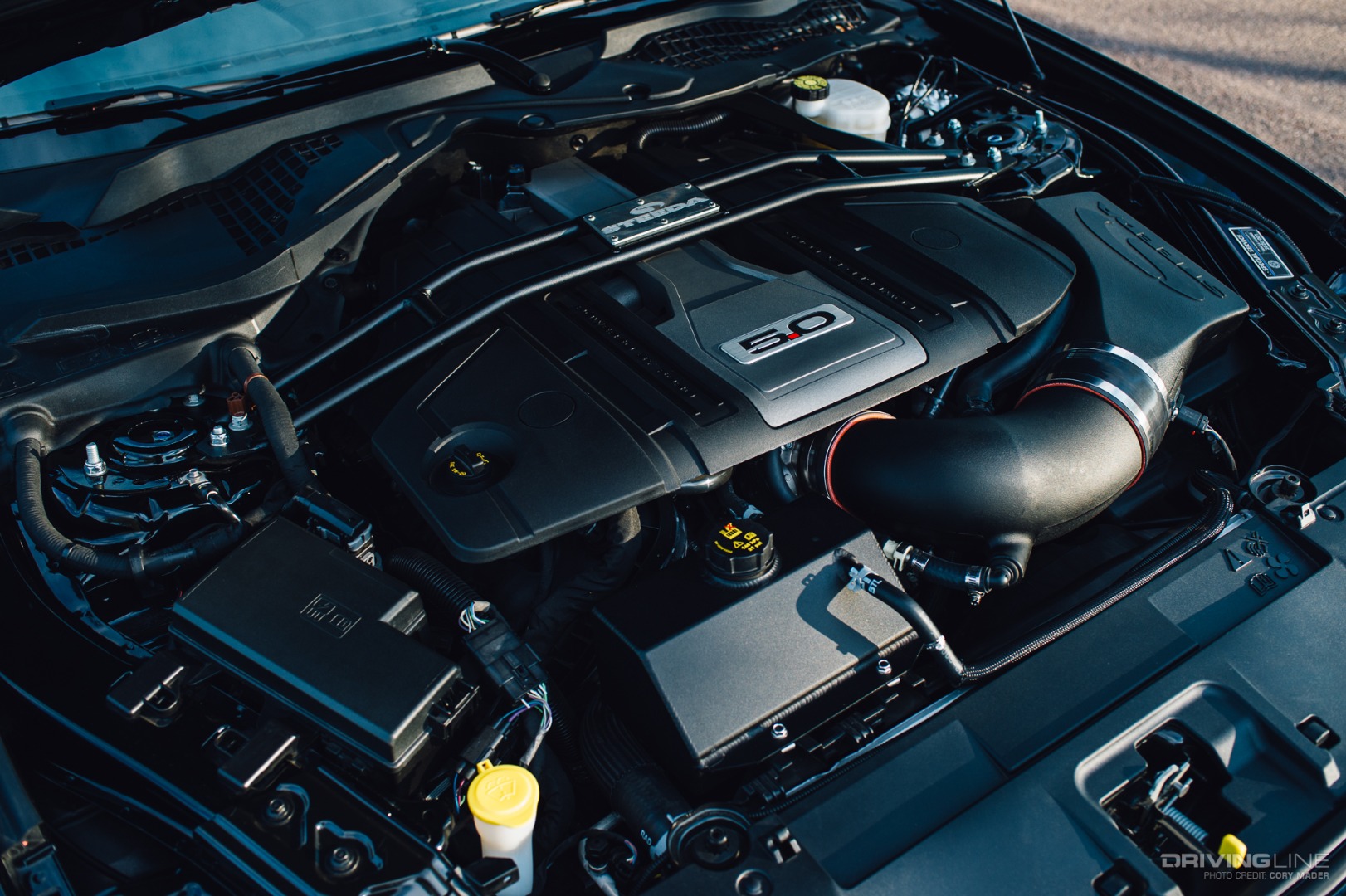 Steeda Special Service 5.0 Mustang on Nitto NT555 G2 - Engine Bay
