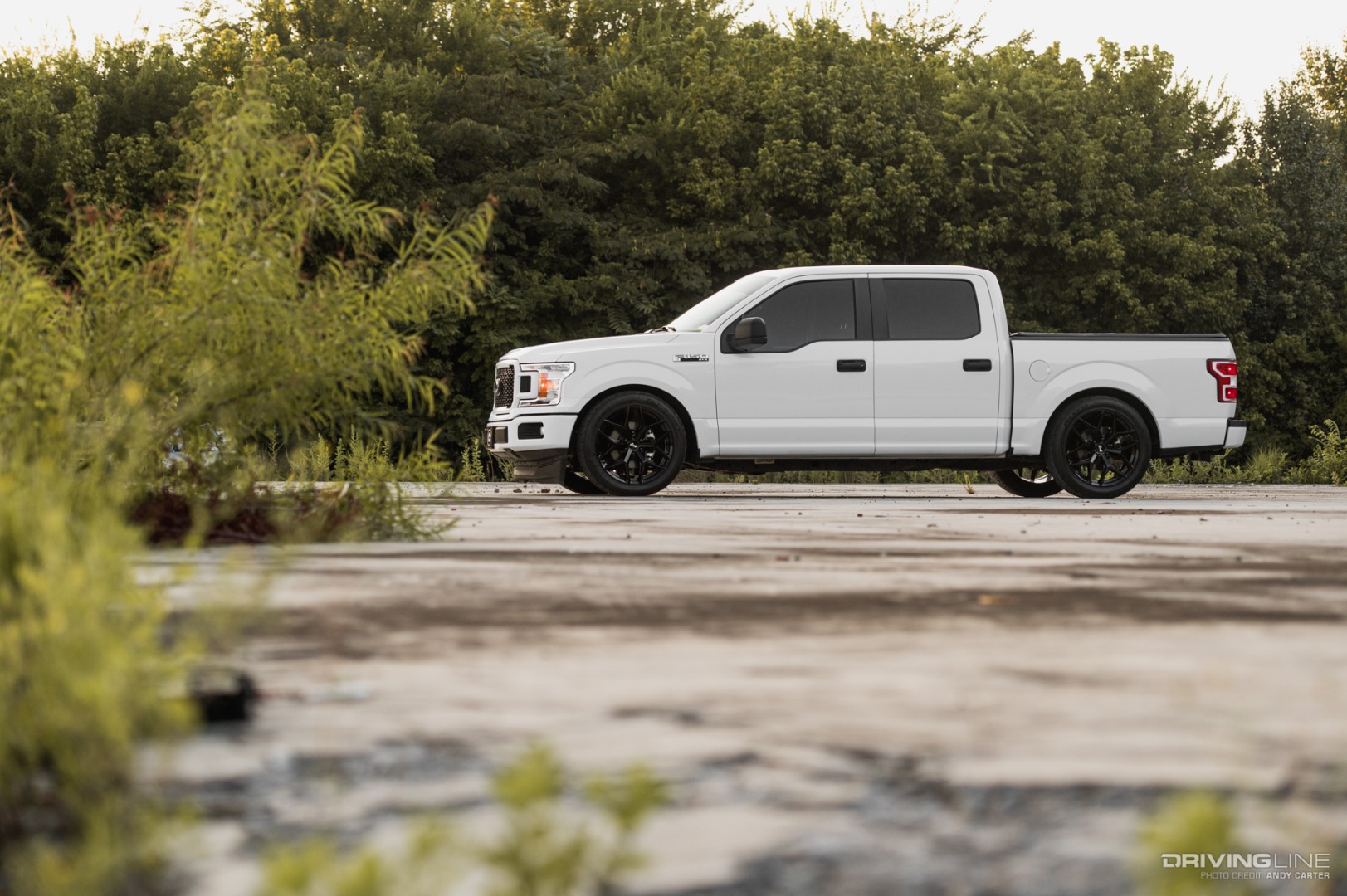 Lowered 2019 F150