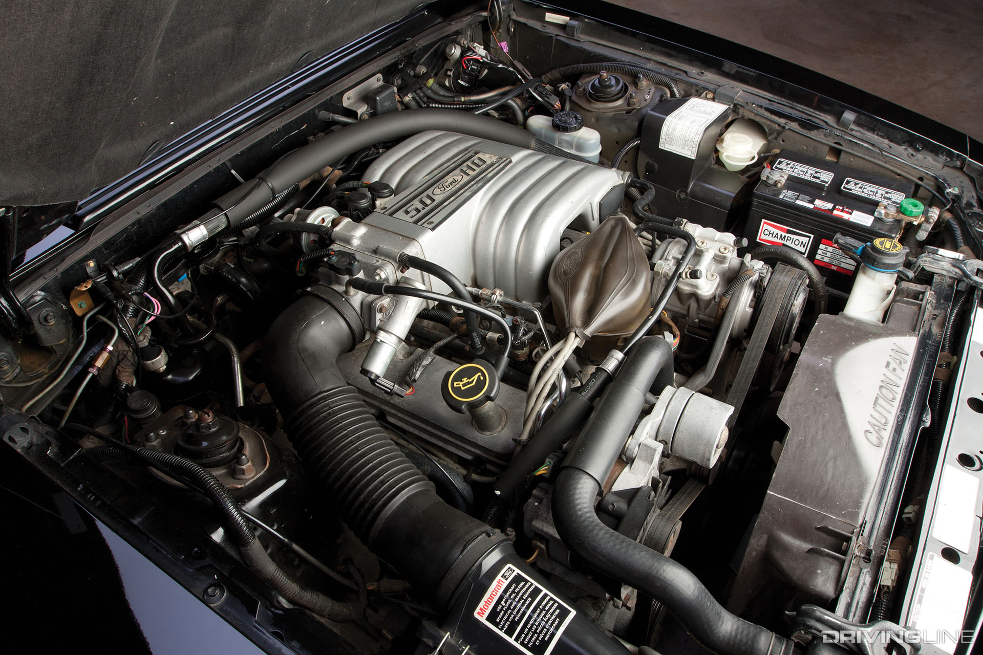 Fox Body Mustang 5.0 Engine
