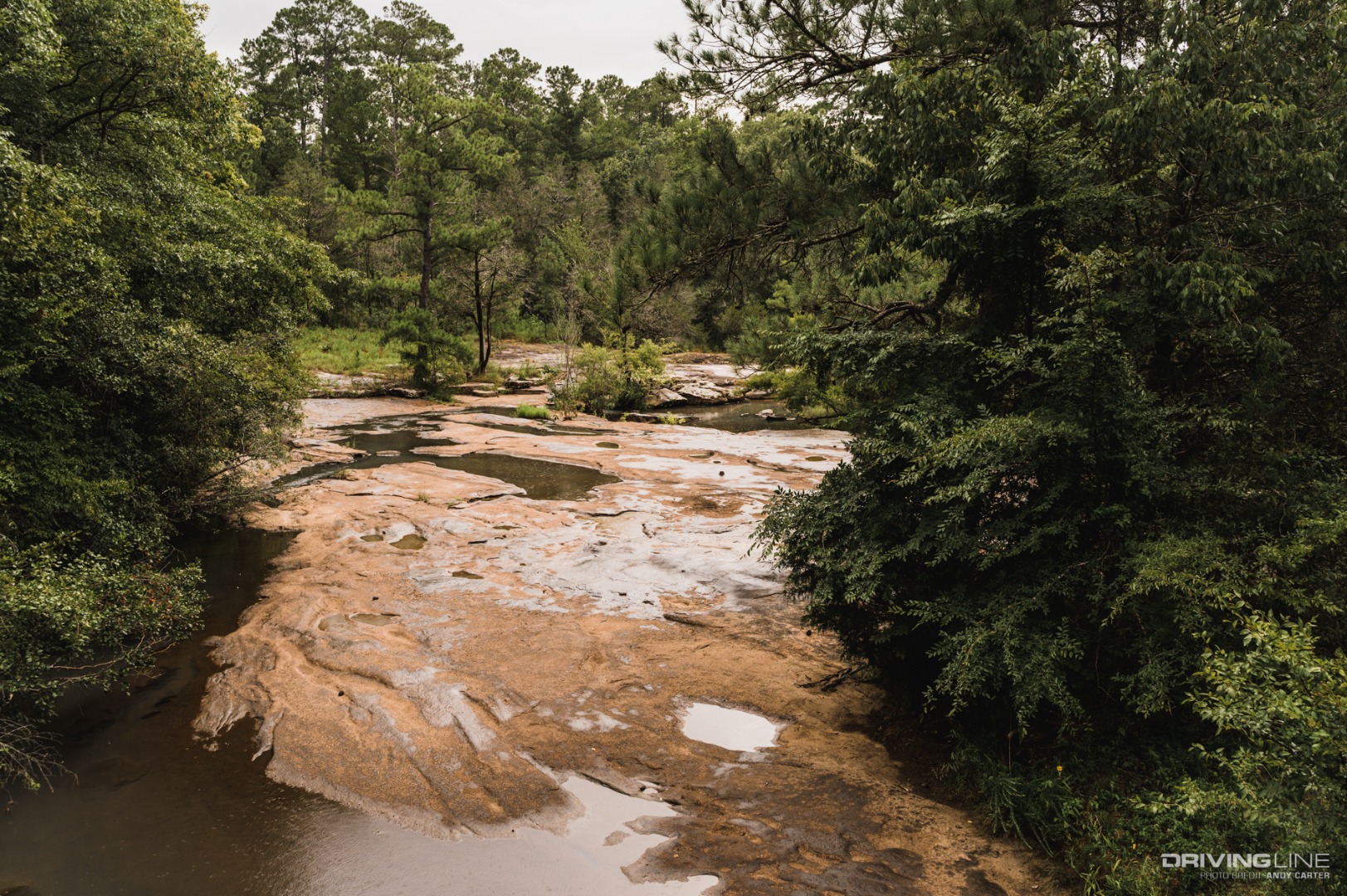 Georgia Adventure trail swimming area