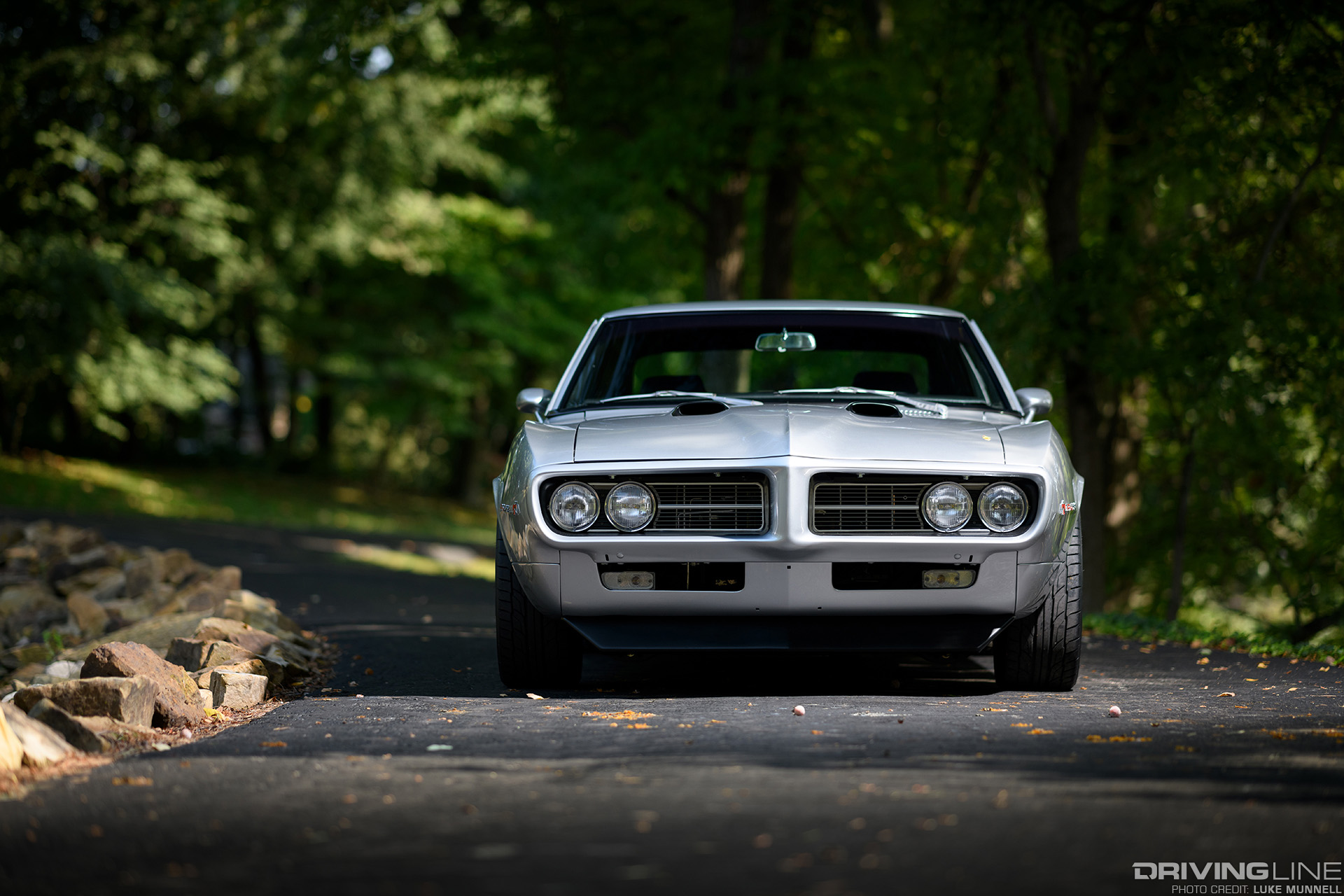 Firebird front view