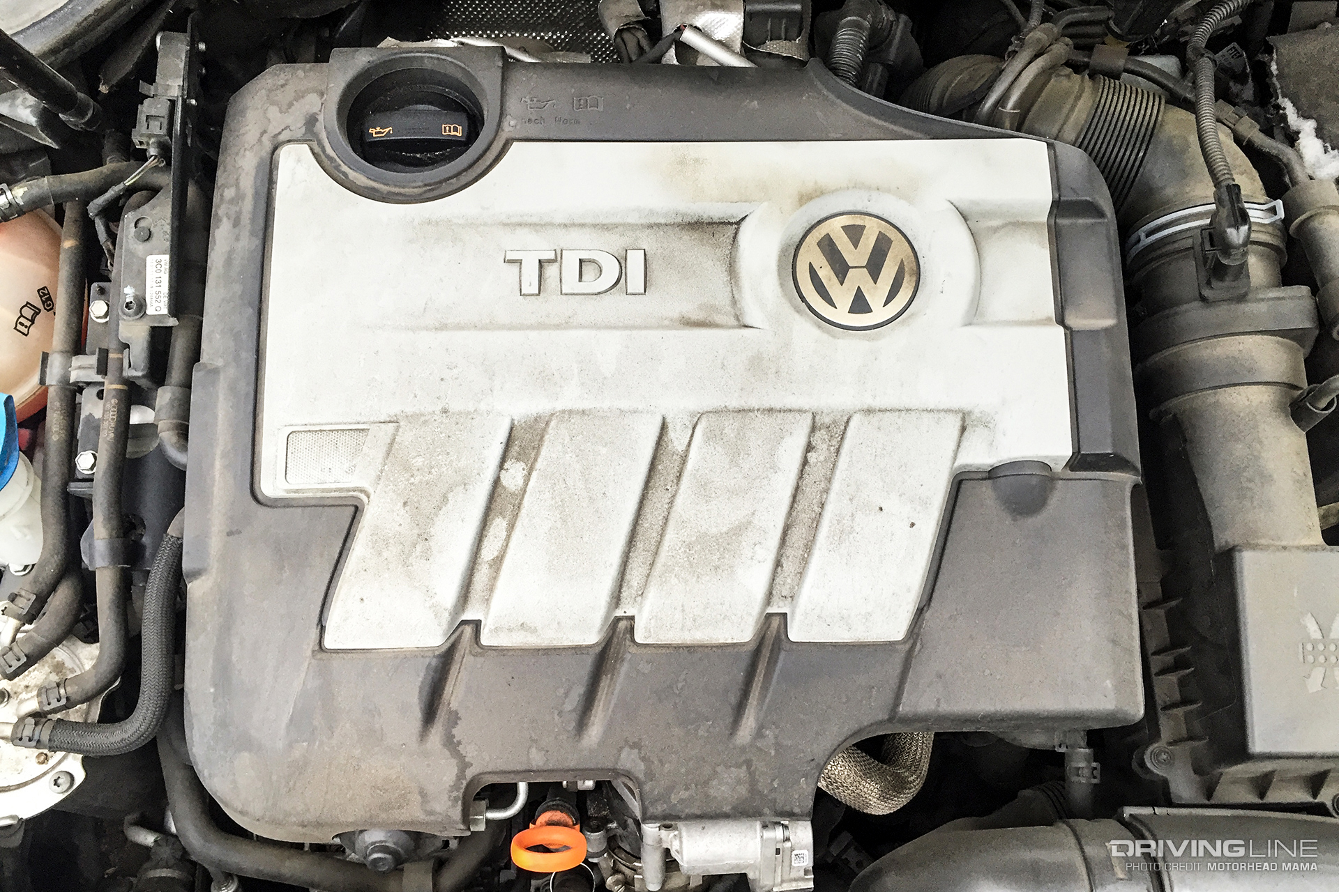 VW TDI Engine Diesel Scandal