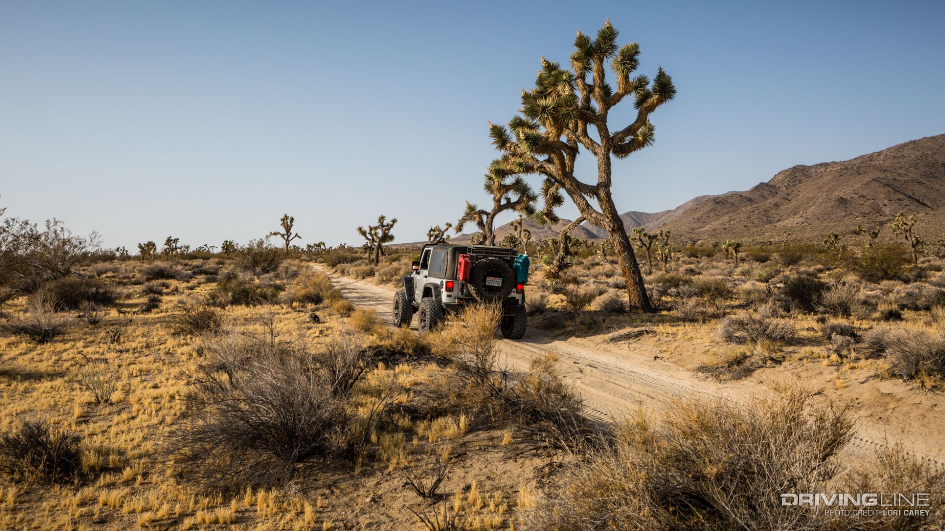 004_Jeep_Berdoo_Canyon_Trail_Joshua_Tree_National_Park