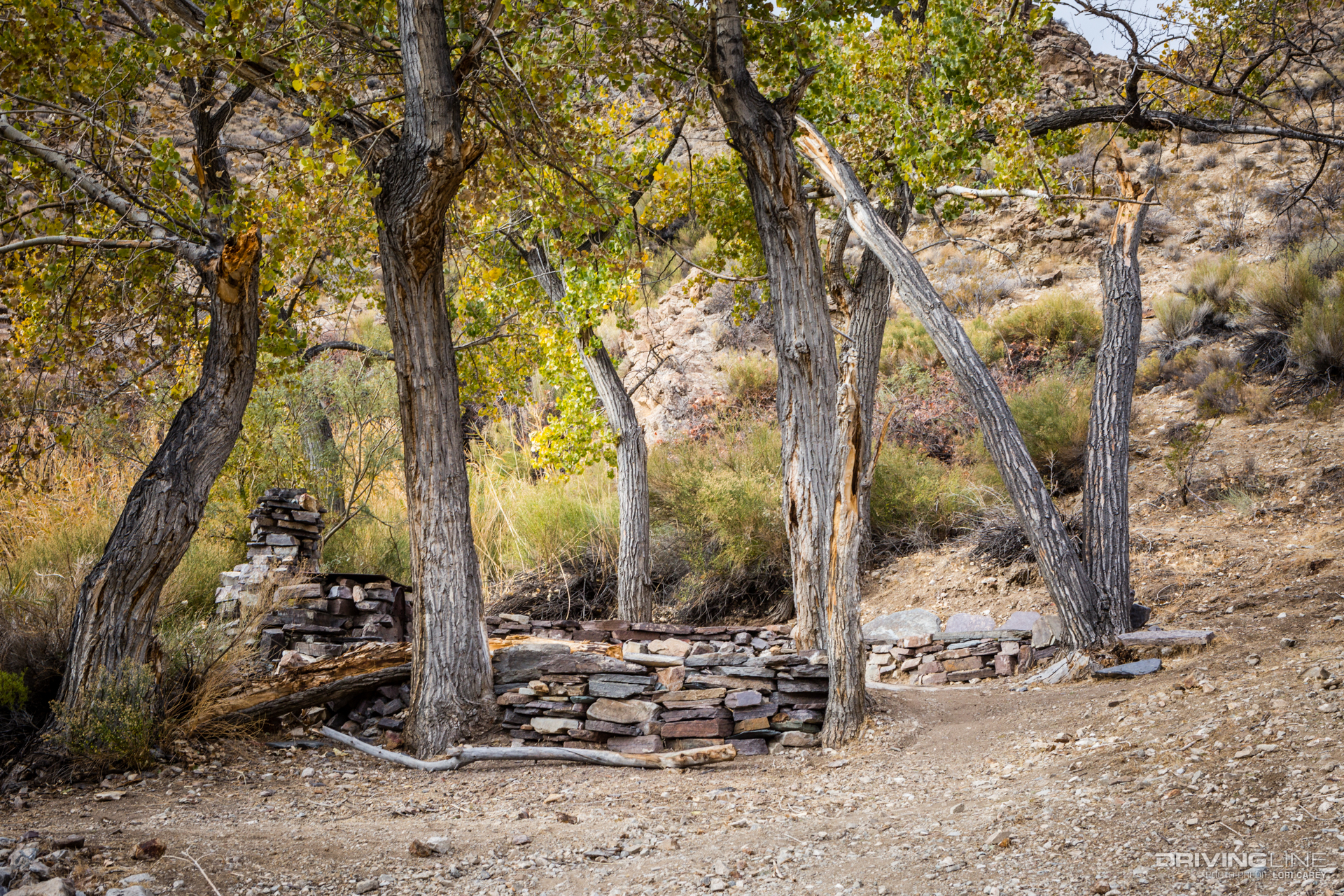 011 wilson spring johnson canyon