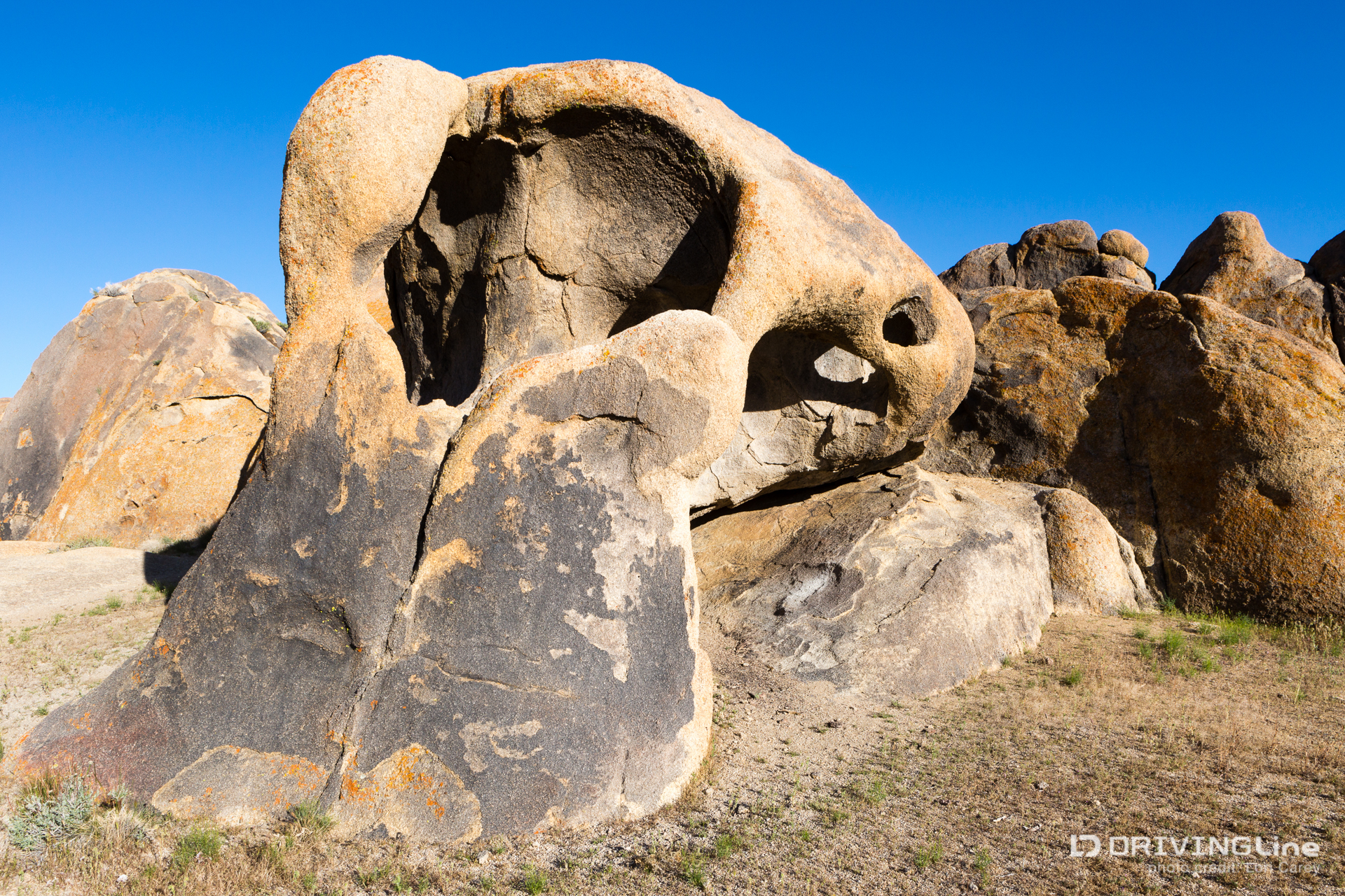 015 cyclops double arch