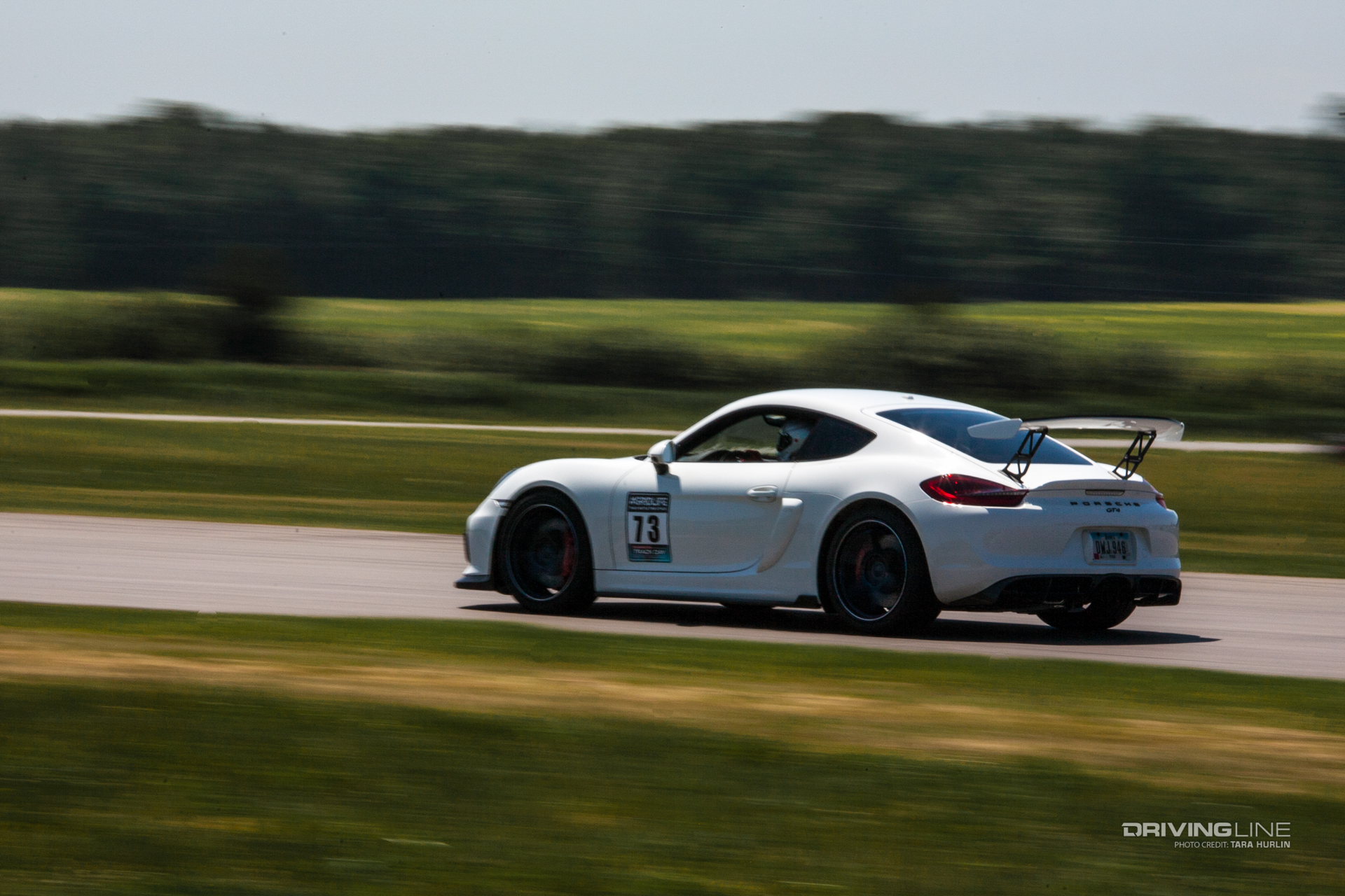 Porsche GT4_Gridlife