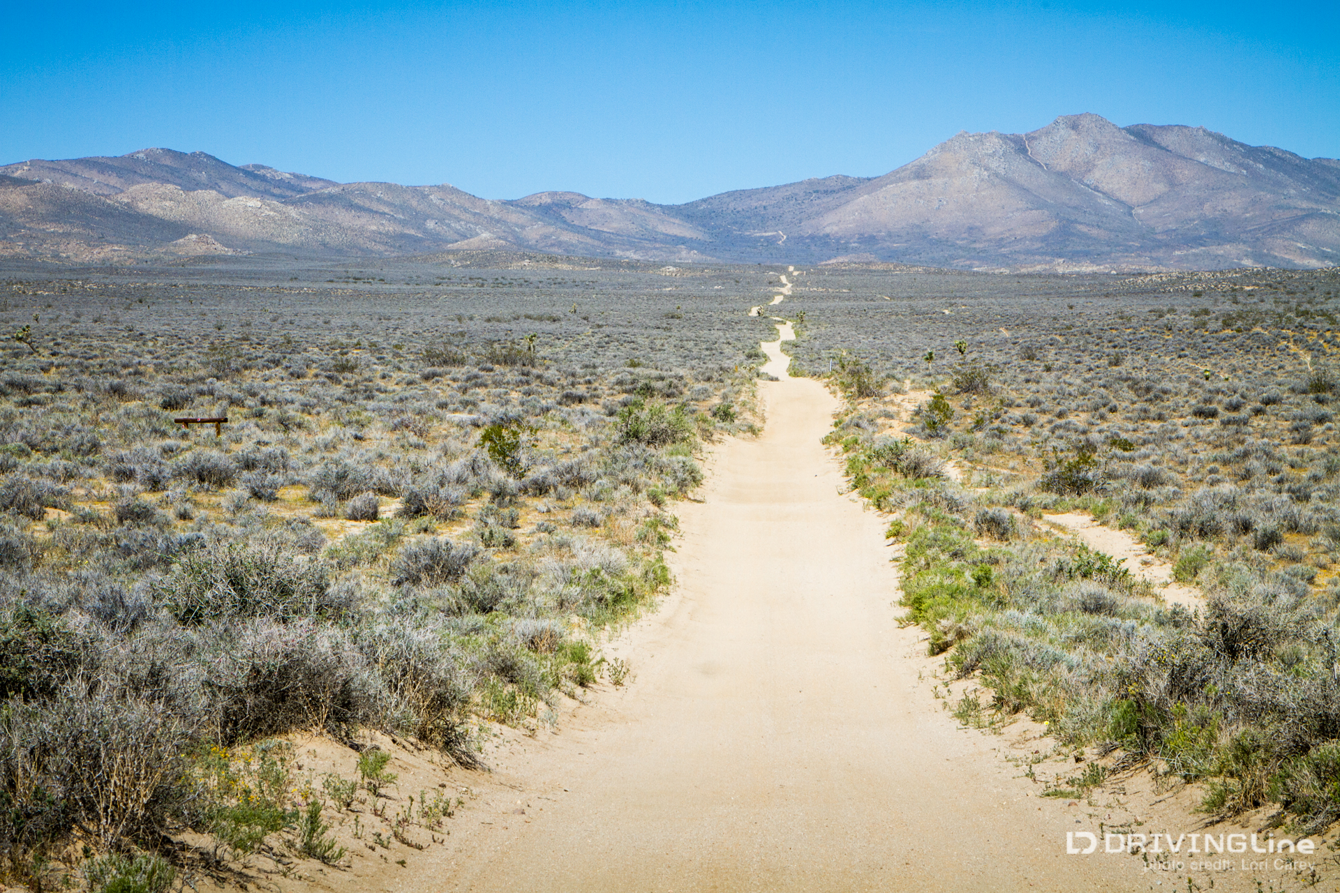 001 mojave desert trail