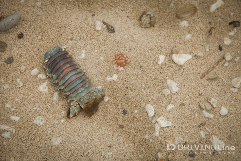 Off_Roading_in_Maui_Jeep_Travel_14