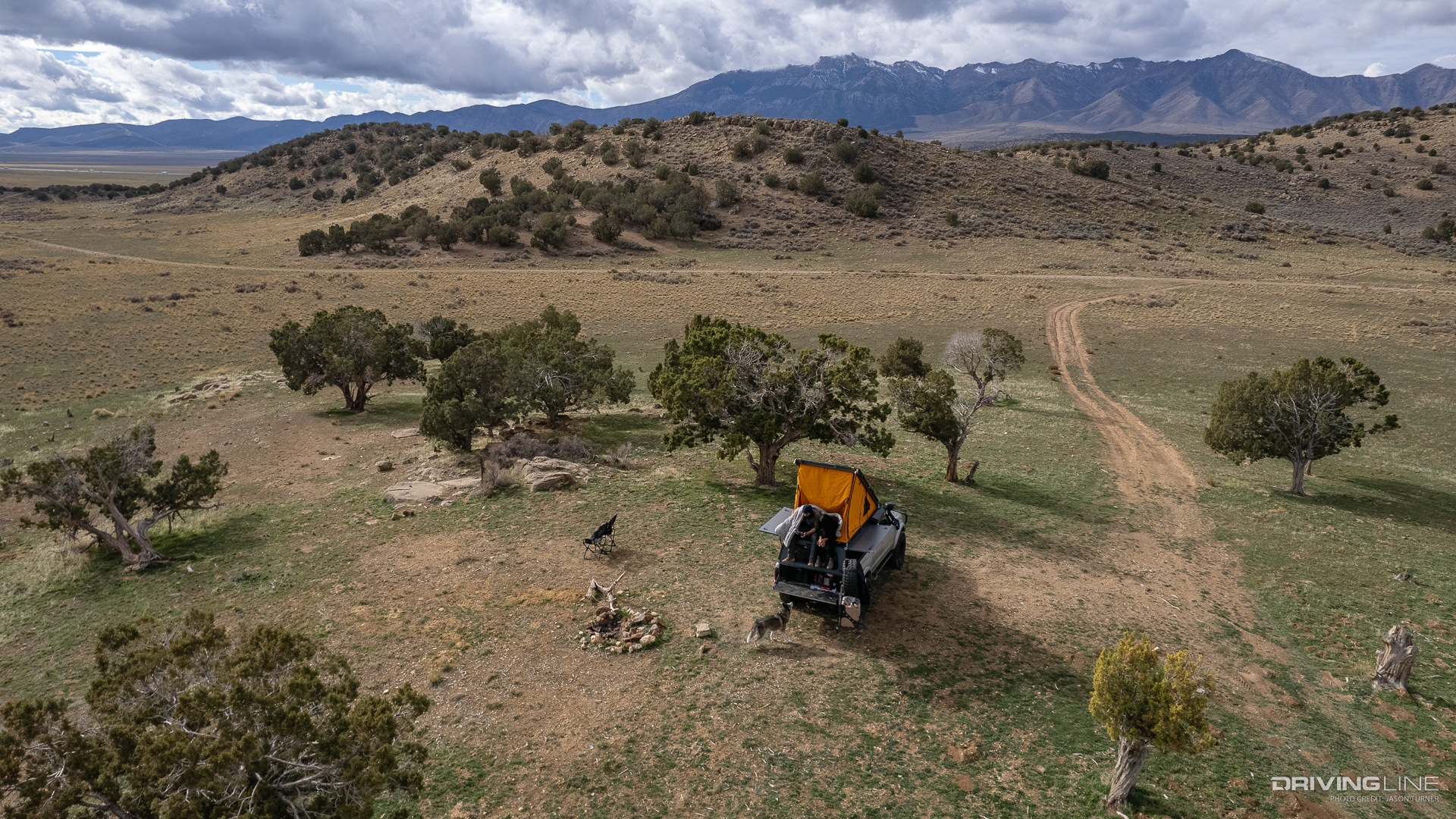 Overlanding with Dog in Toyota Tacoma