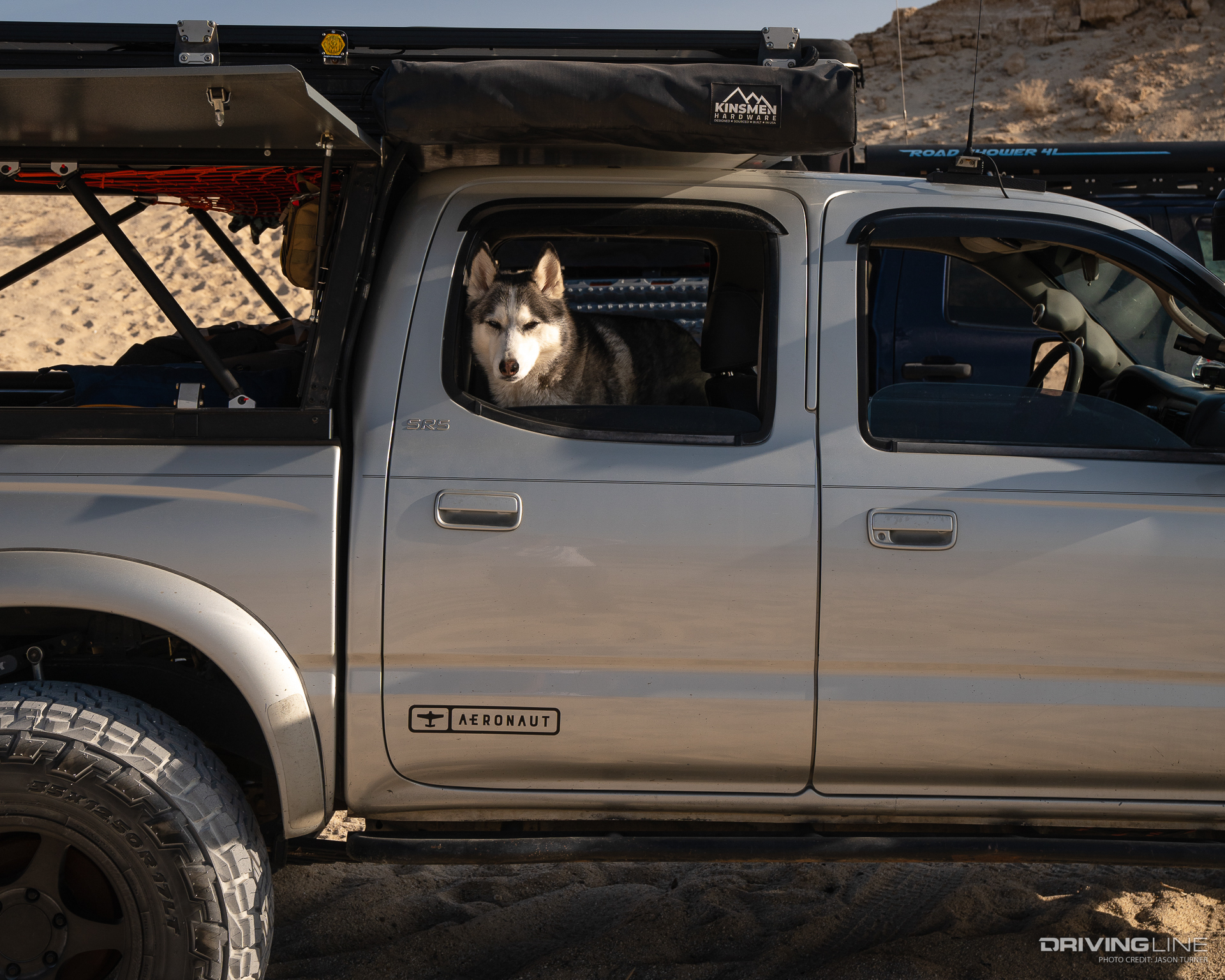 Dog looking out of window in Toyota Tacoma