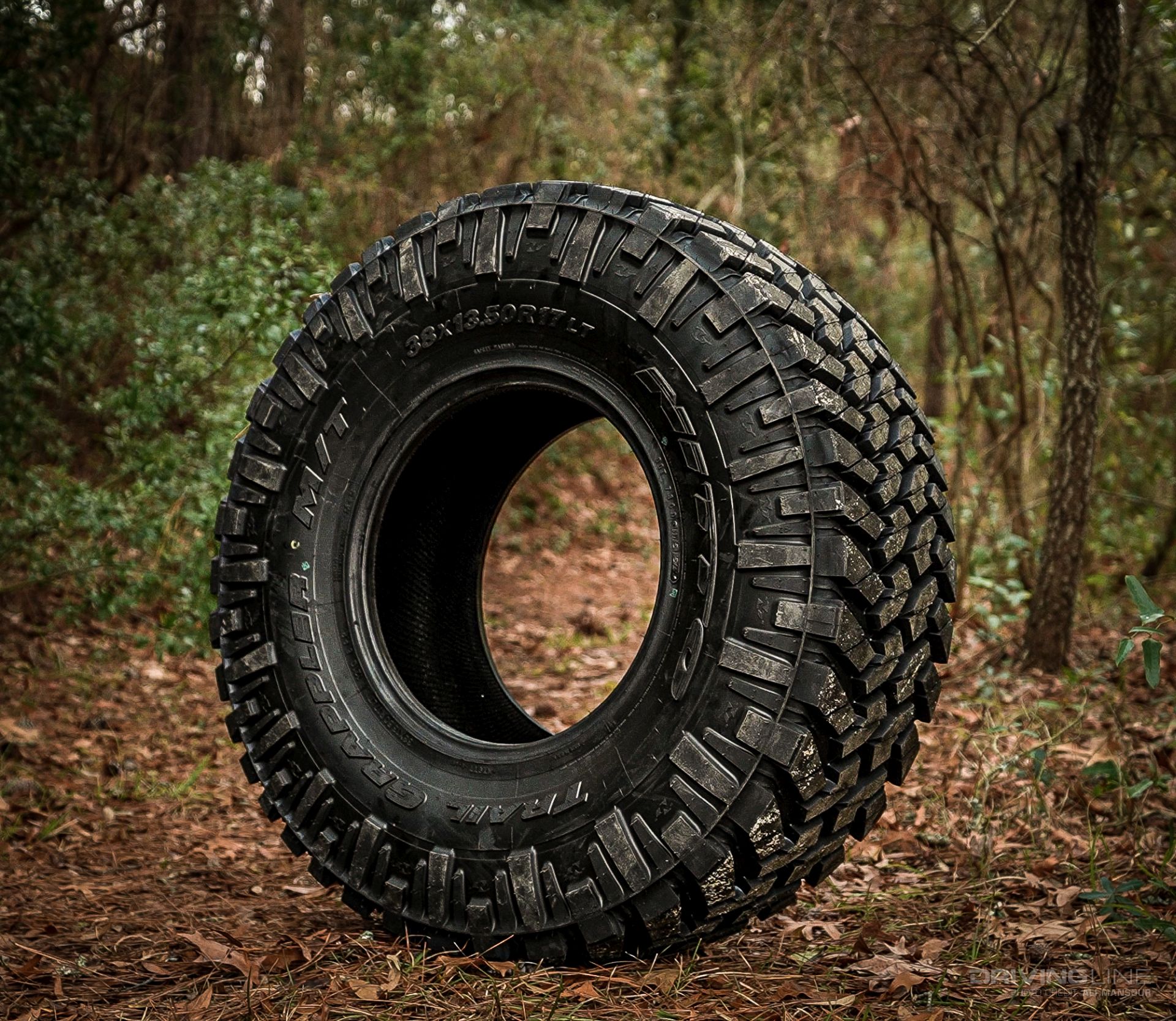 38" Nitto Trail Grappler tire