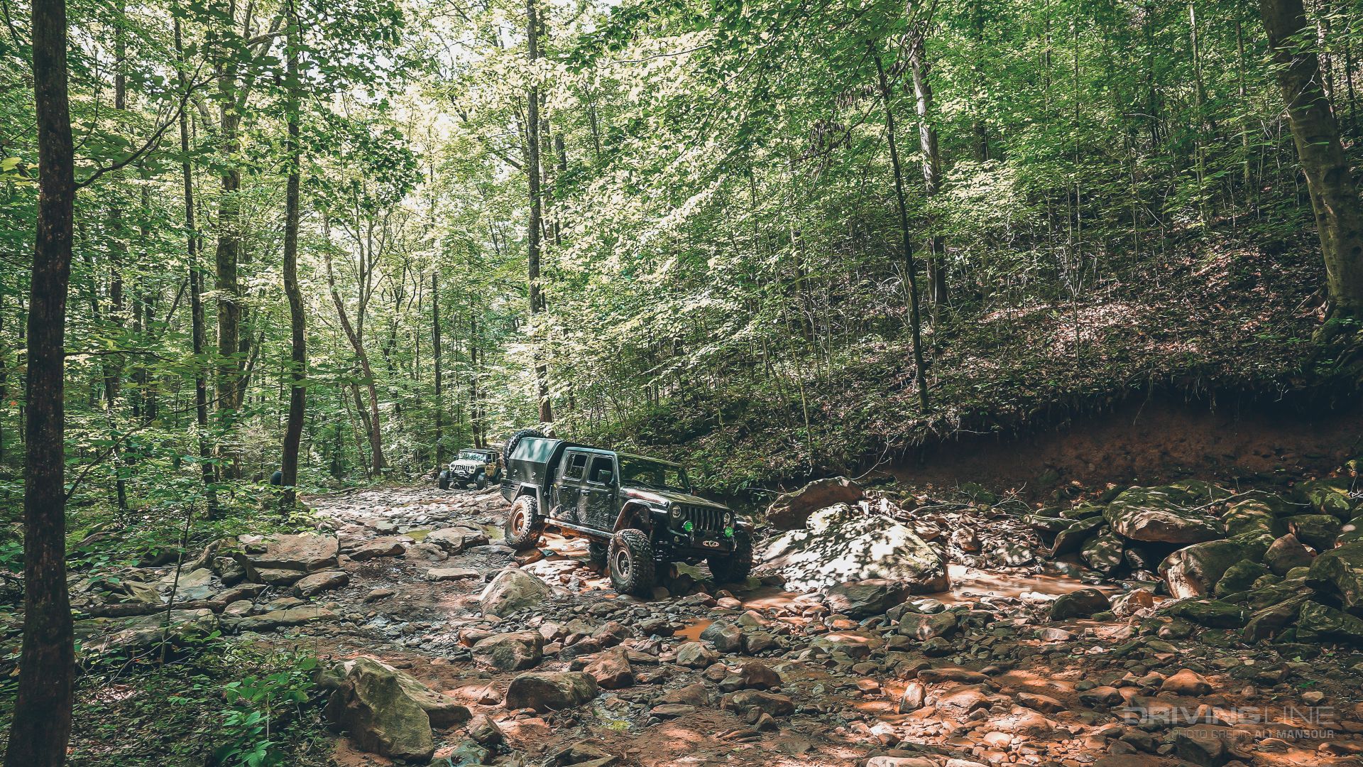Windrock Park Jeep Gladiator Rubicon on 40s